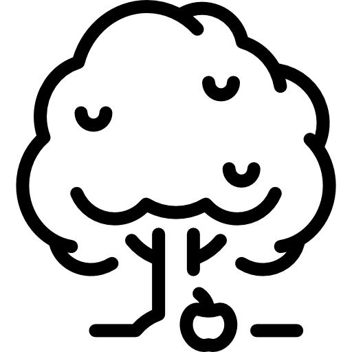 Apple Tree